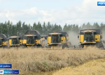 уборочные работы