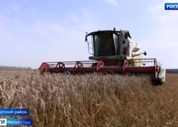 В Нурлатском районе завершается уборочная кампания