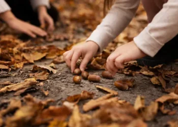 дети собирают желуди