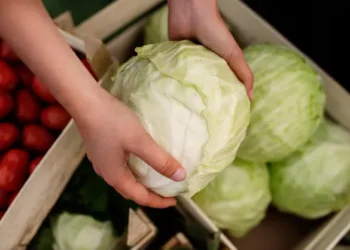 Как правильно хранить овощи, фрукты и зелень в квартире: Советы для свежести и вкуса