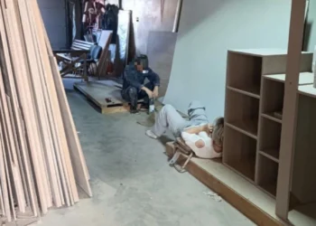 упали листы