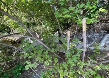 В Казани обнаружили незаконную свалку стройотходов