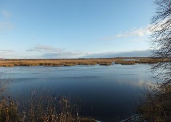 Офыклар (18.09.25)