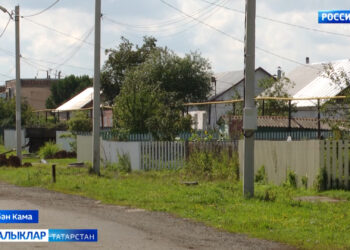 Отышлы программа