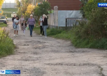 «Приходится ходить в галошах»: жители Борисково требуют отремонтировать дорогу в поселке