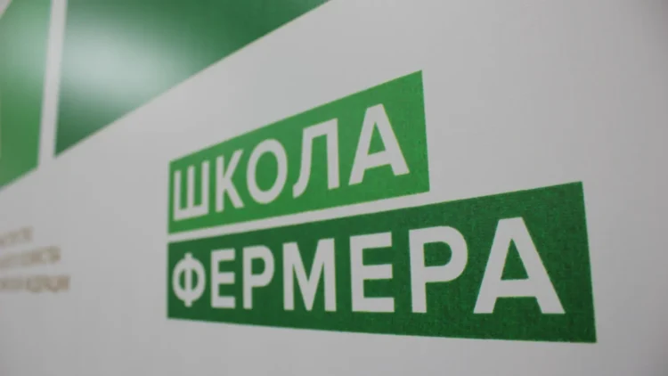 школа