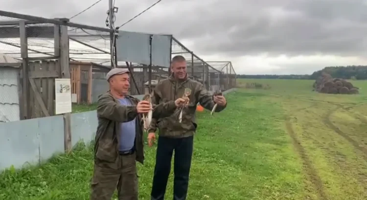 выпустили птиц