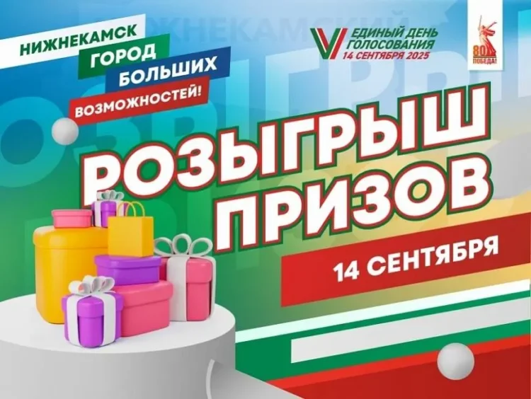 выборы