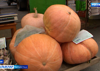 Игелекле эшкә кушыл!