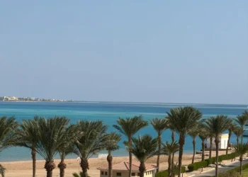 Египет, ОАЭ и Турция: где татарстанцы чаще всего предпочитают отдыхать во время осенних каникул?