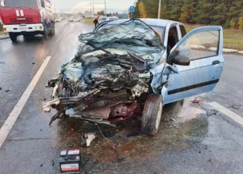 В Спасском районе произошло смертельное ДТП