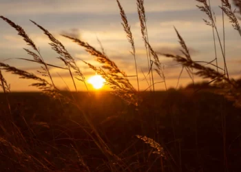 Приметы 7 октября