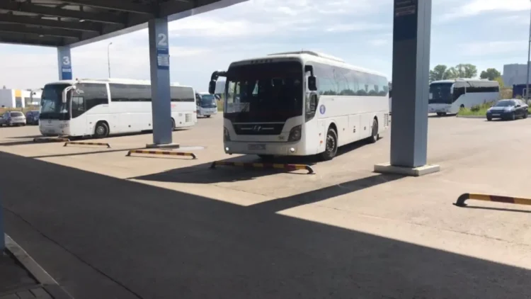 автобус