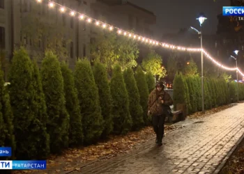 В Лядском саду вместо вырубленных старинных лип высадят кусты боярышника и клены