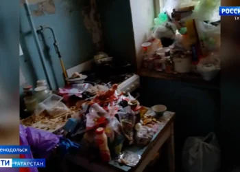 Клопы, горы мусора и антисанитария: жители одного из домов в Зеленодольске борются с соседкой-плюшкиным