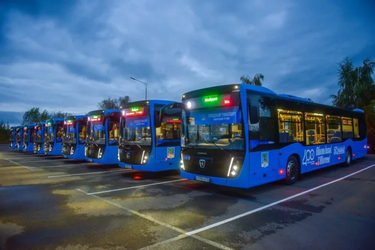 автобусы