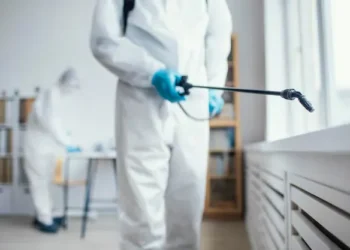 избавиться от мошек в квартире