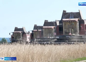 В Татарстане подвели итоги уборочной кампании