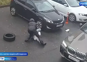 Стали известны новые подробности в деле о покушении на Ирина Шевыреву