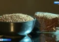 Татарстанские ученые вывели новый сорт засухоустойчивой гречихи