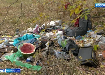 На Мамадышском тракте в Казани автобус влетел в большегруз: подробности ДТП