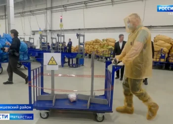 В Татарстане с начала года в ДТП погибли 11 детей