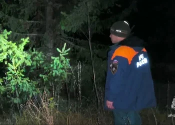 Под Казанью спасли мужчину, заблудившегося в лесу