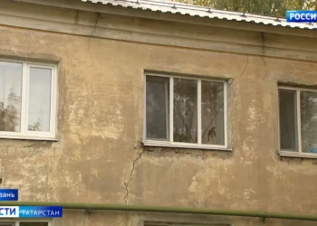 В Мамадышском районе медведь растерзал стадо овец