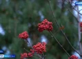 Татарстанцев предупредили о магнитной буре в ближайшие дни