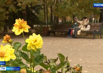 На Мамадышском тракте в Казани автобус влетел в большегруз: подробности ДТП