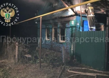 В Мамадыше при пожаре в доме погибли два человека