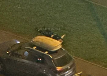 выпал из окна