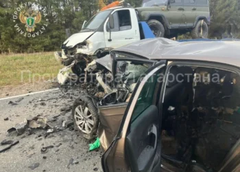 В Агрызском районе в ДТП погибли мужчина и двое детей