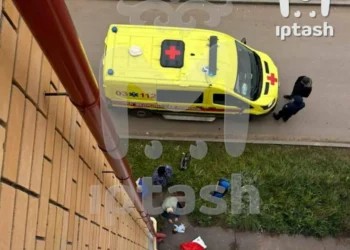 В поселке Васильево 5-летняя девочка выбросила младенца из окна четвертого этажа