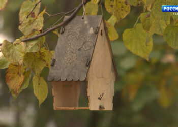Татарстанда ноябрь ае нормадан бер градуска җылырак була