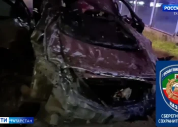 Стали известны подробности смертельного ДТП на Горьковском шоссе