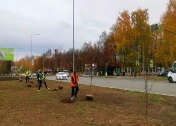 В Елабуге этой осенью высадят более тысячи деревьев