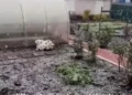 снег