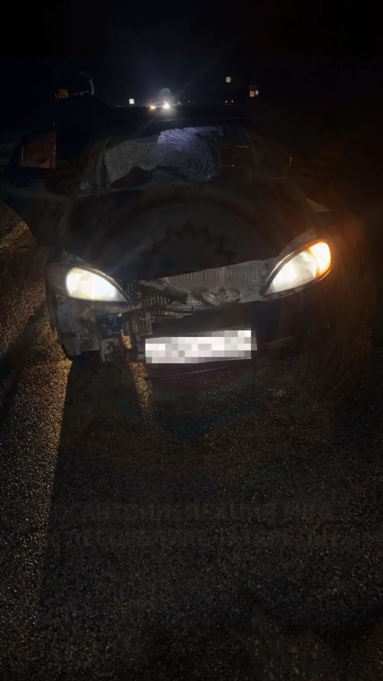 Фото: Татар-информ.