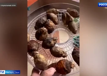 Татарстанцам рассказали, как пережить магнитную бурю