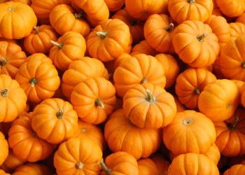 Рецепты из тыквы: простые и вкусные блюда на каждый день