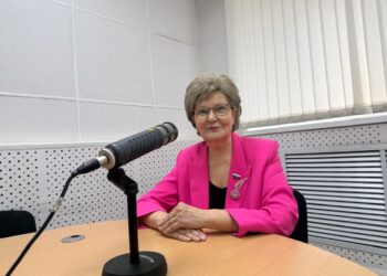 У микрофона депутат Госдумы Татьяна Ларионова (11.11.25)