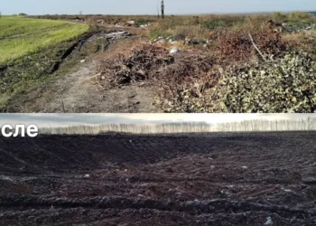 В Буинском районе убрали крупную свалку