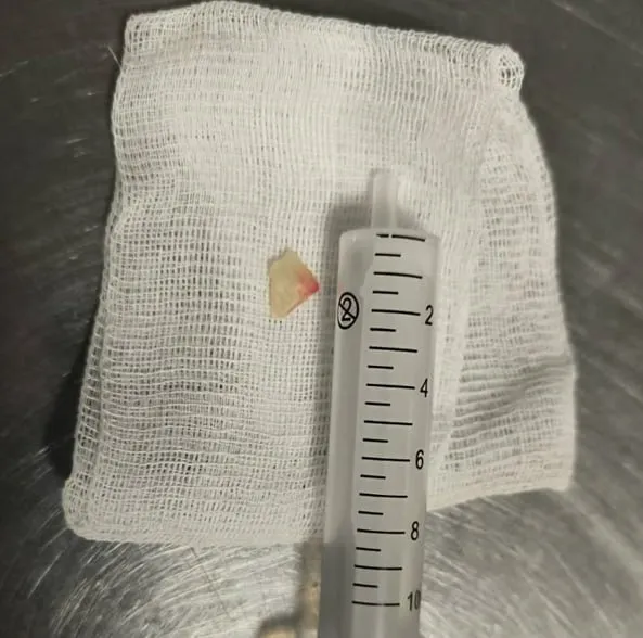 Фото: пресс-служба РКБ