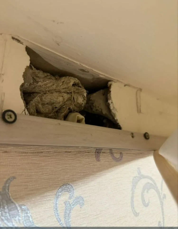 Фото: chelny-izvest.ru