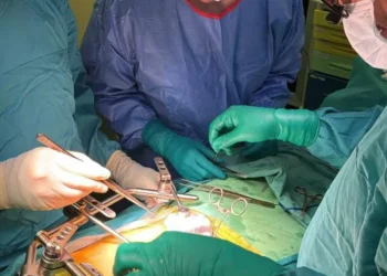 В БСМП им.Акчурина впервые провели пересадку почки