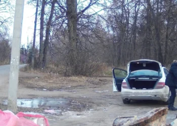 В Нижнекамском районе нарушители заплатят 10 тыс. рублей за сброс мусора