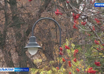 21нче ноябрь көнне аязучан болытлы һава