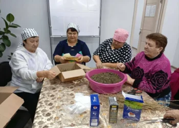 помощь бойцам СВО