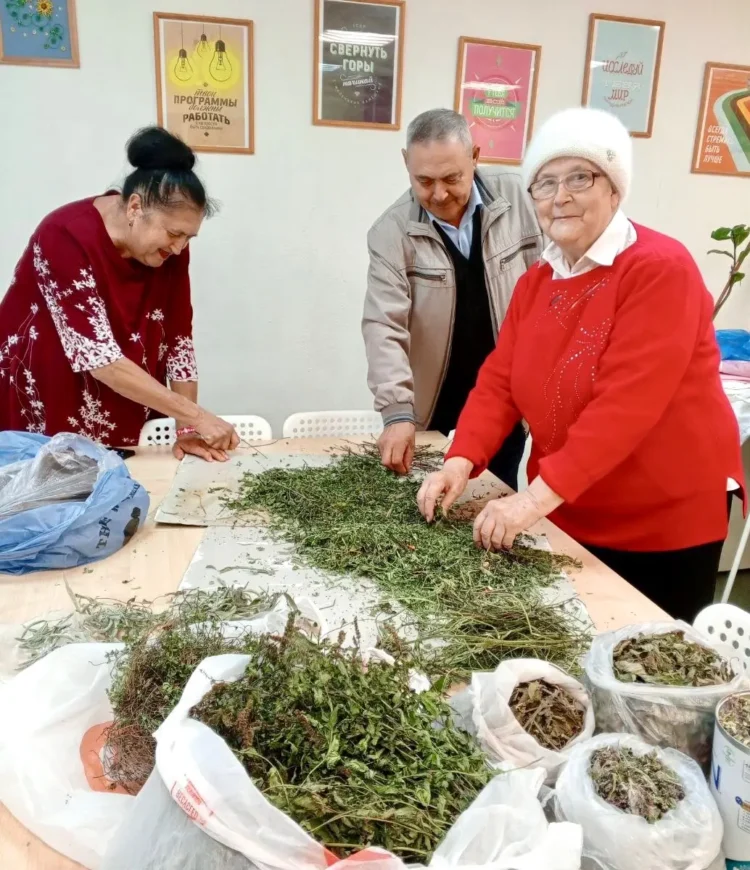 Фото: vk.com/nknews